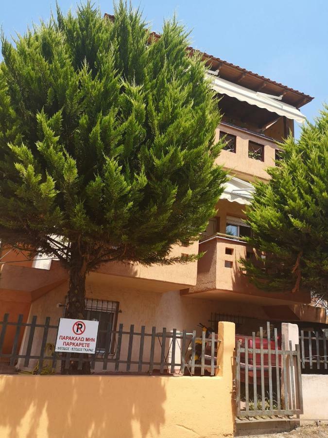 Greca Mare-Traditional Greek Boutique Apt. Pszakúdia Kültér fotó